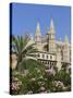 Palma Cathedral (La Seu), Palma De Mallorca, Mallorca (Majorca), Balearic Islands, Spain, Mediterra-Stuart Black-Stretched Canvas