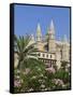 Palma Cathedral (La Seu), Palma De Mallorca, Mallorca (Majorca), Balearic Islands, Spain, Mediterra-Stuart Black-Framed Stretched Canvas