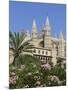 Palma Cathedral (La Seu), Palma De Mallorca, Mallorca (Majorca), Balearic Islands, Spain, Mediterra-Stuart Black-Mounted Photographic Print