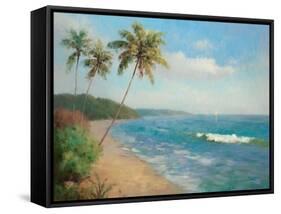 Palma de la Playa-Karen Dupr?-Framed Stretched Canvas