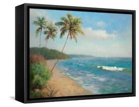 Palma de la Playa-Karen Dupr?-Framed Stretched Canvas