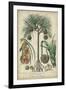 Palma Exotica I-Vision Studio-Framed Art Print