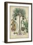 Palma Exotica I-Vision Studio-Framed Art Print