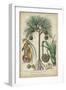 Palma Exotica I-Vision Studio-Framed Art Print