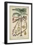 Palma Exotica II-Vision Studio-Framed Art Print