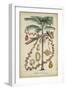 Palma Exotica II-Vision Studio-Framed Art Print