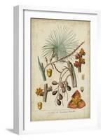 Palma Exotica III-Vision Studio-Framed Art Print