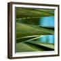 Palma III-Susan Bryant-Framed Photographic Print