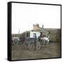Palma (Island of Majorca, Balearics, Spain), Traditional Horse-Drawn Carriage, Circa 1895-Leon, Levy et Fils-Framed Stretched Canvas