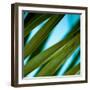 Palma IV-Susan Bryant-Framed Photographic Print