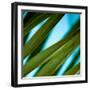 Palma IV-Susan Bryant-Framed Photographic Print