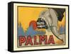 Palma Shoes-null-Framed Stretched Canvas