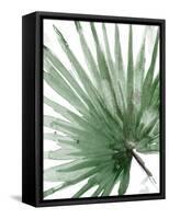 Palma Verde Close Up-Patricia Pinto-Framed Stretched Canvas