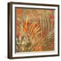 Palma-Andrew Michaels-Framed Art Print