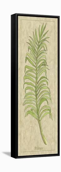 Palmae Leaf-Alicia Ludwig-Framed Stretched Canvas