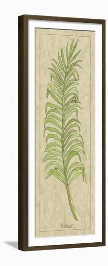 Palmae Leaf-Alicia Ludwig-Framed Premium Giclee Print