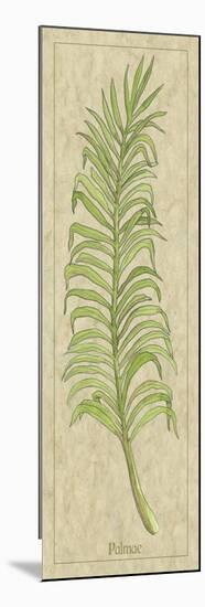 Palmae Leaf-Alicia Ludwig-Mounted Premium Giclee Print