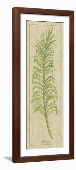 Palmae Leaf-Alicia Ludwig-Framed Premium Giclee Print