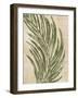 Palmaria II-Susan Jill-Framed Art Print