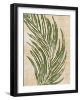 Palmaria II-Susan Jill-Framed Art Print