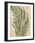 Palmaria II-Susan Jill-Framed Art Print