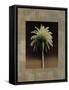 Palmas I-Andrea Trivelli-Framed Stretched Canvas