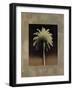 Palmas I-Andrea Trivelli-Framed Art Print