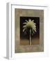 Palmas I-Andrea Trivelli-Framed Art Print