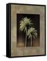 Palmas II-Andrea Trivelli-Framed Stretched Canvas