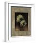 Palmas II-Andrea Trivelli-Framed Art Print