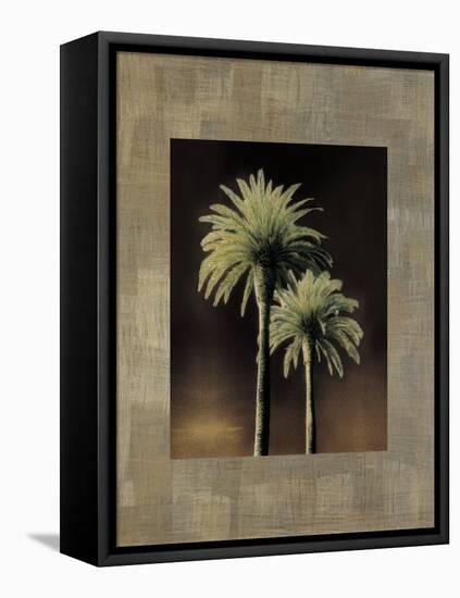 Palmas II-Andrea Trivelli-Framed Stretched Canvas