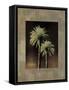 Palmas II-Andrea Trivelli-Framed Stretched Canvas