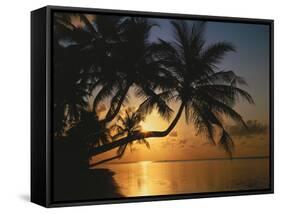 Palmenstrand, Sonnenuntergang, Meer, Ufer, Palmen, Abendsonne, Urlaub-Thonig-Framed Stretched Canvas