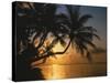 Palmenstrand, Sonnenuntergang, Meer, Ufer, Palmen, Abendsonne, Urlaub-Thonig-Stretched Canvas