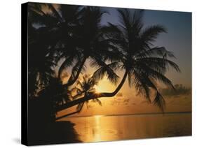 Palmenstrand, Sonnenuntergang, Meer, Ufer, Palmen, Abendsonne, Urlaub-Thonig-Stretched Canvas