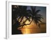 Palmenstrand, Sonnenuntergang, Meer, Ufer, Palmen, Abendsonne, Urlaub-Thonig-Framed Photographic Print