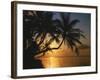 Palmenstrand, Sonnenuntergang, Meer, Ufer, Palmen, Abendsonne, Urlaub-Thonig-Framed Photographic Print