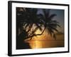 Palmenstrand, Sonnenuntergang, Meer, Ufer, Palmen, Abendsonne, Urlaub-Thonig-Framed Photographic Print