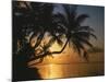 Palmenstrand, Sonnenuntergang, Meer, Ufer, Palmen, Abendsonne, Urlaub-Thonig-Mounted Photographic Print
