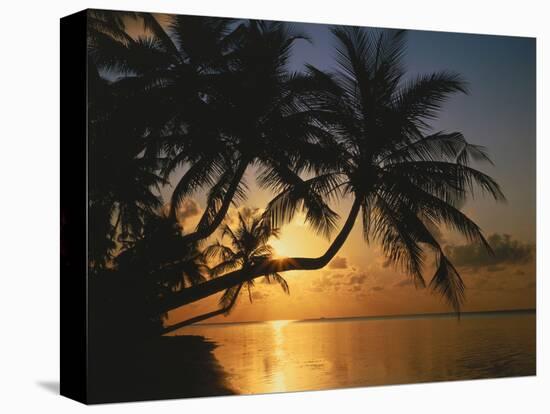 Palmenstrand, Sonnenuntergang, Meer, Ufer, Palmen, Abendsonne, Urlaub-Thonig-Stretched Canvas