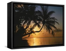 Palmenstrand, Sonnenuntergang, Meer, Ufer, Palmen, Abendsonne, Urlaub-Thonig-Framed Stretched Canvas