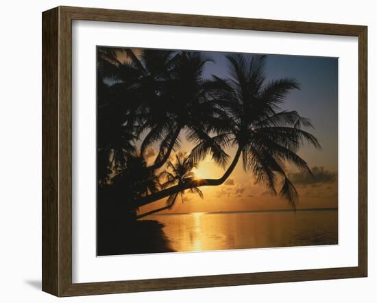 Palmenstrand, Sonnenuntergang, Meer, Ufer, Palmen, Abendsonne, Urlaub-Thonig-Framed Photographic Print