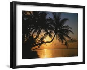 Palmenstrand, Sonnenuntergang, Meer, Ufer, Palmen, Abendsonne, Urlaub-Thonig-Framed Photographic Print