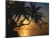 Palmenstrand, Sonnenuntergang, Meer, Ufer, Palmen, Abendsonne, Urlaub-Thonig-Mounted Photographic Print