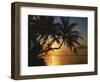 Palmenstrand, Sonnenuntergang, Meer, Ufer, Palmen, Abendsonne, Urlaub-Thonig-Framed Photographic Print