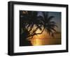 Palmenstrand, Sonnenuntergang, Meer, Ufer, Palmen, Abendsonne, Urlaub-Thonig-Framed Photographic Print