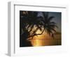 Palmenstrand, Sonnenuntergang, Meer, Ufer, Palmen, Abendsonne, Urlaub-Thonig-Framed Photographic Print