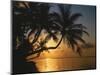 Palmenstrand, Sonnenuntergang, Meer, Ufer, Palmen, Abendsonne, Urlaub-Thonig-Mounted Photographic Print