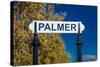 Palmer, Alaska, United States - train station-null-Stretched Canvas