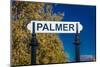 Palmer, Alaska, United States - train station-null-Mounted Photographic Print